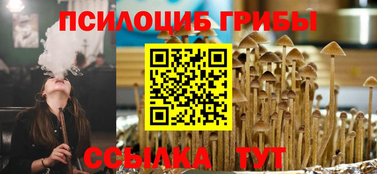 Алушта  Псилоцибиновые грибы Cubensis  Вход с VPN  Псилоцибиновые грибы GOLDEN TEACHER 